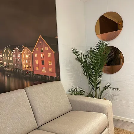 Nidelven * 特隆赫姆