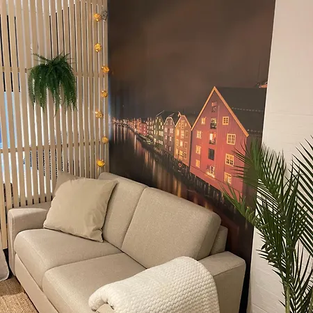 Studioleilighet Midt I Trondheim