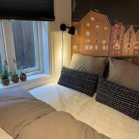 Апартаменты Studioleilighet Midt I Trondheim