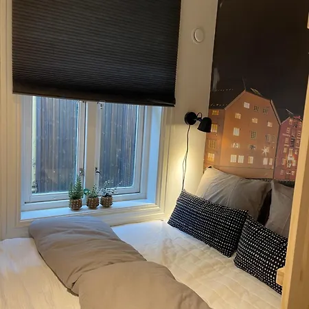 Nidelven 特隆赫姆