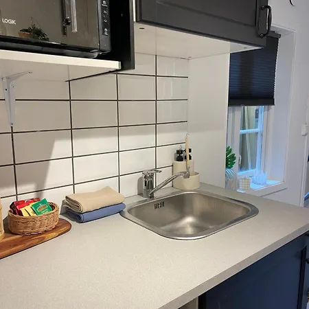 Studioleilighet Midt I Trondheim Lii