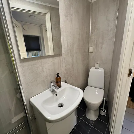 Studioleilighet Midt I Trondheim * Lii