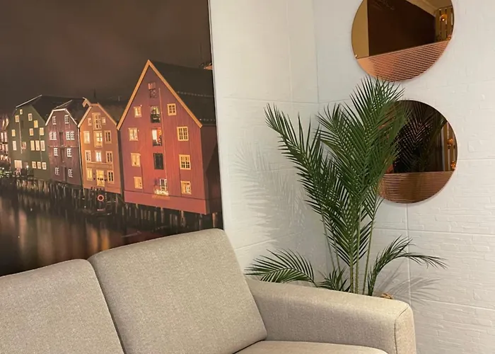 Nidelven * 特隆赫姆