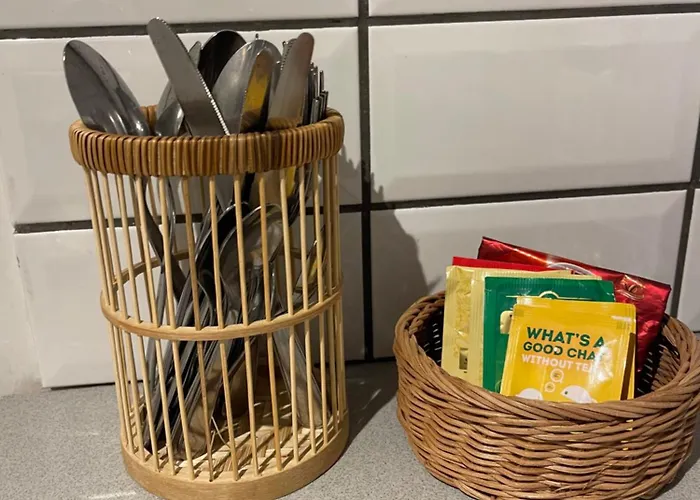 Nidelven * 特隆赫姆