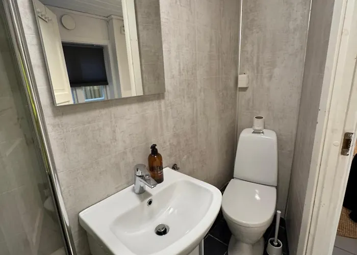 Nidelven * 特隆赫姆